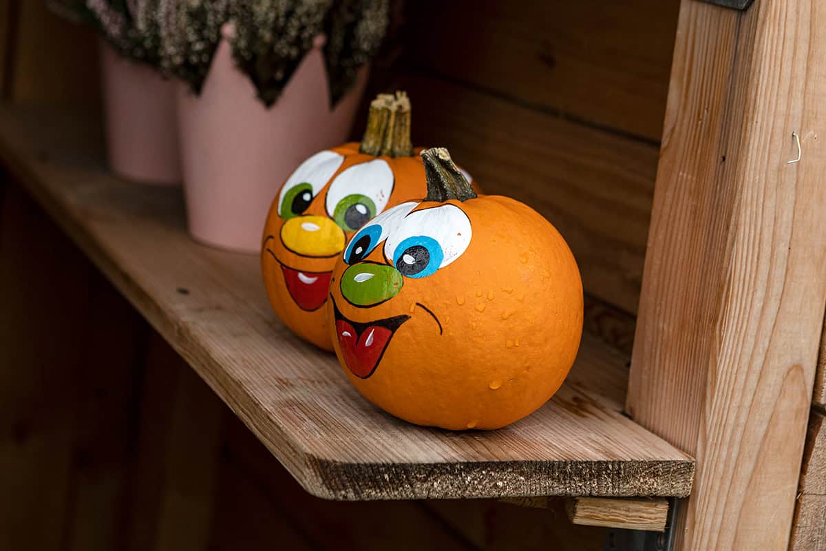 Goofy Pumpkin Character Pair