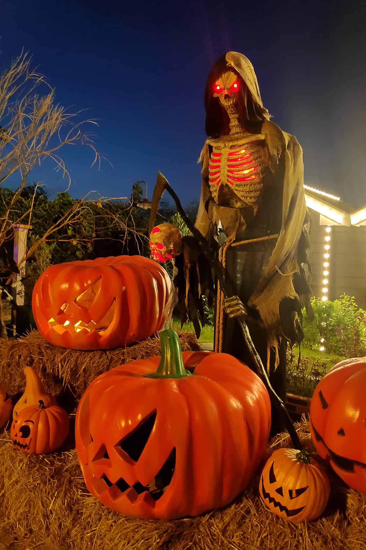 Grim Reaper Guards the Pumpkin Patch