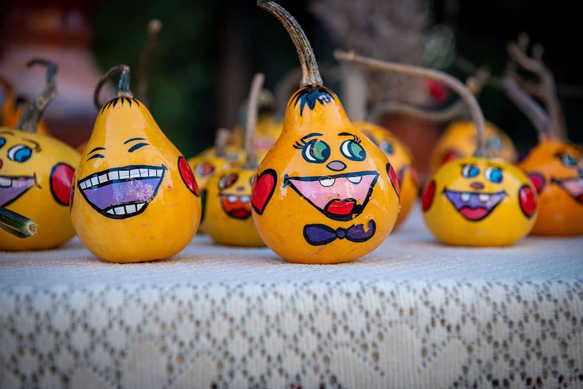 Laughing Mini Gourd Family