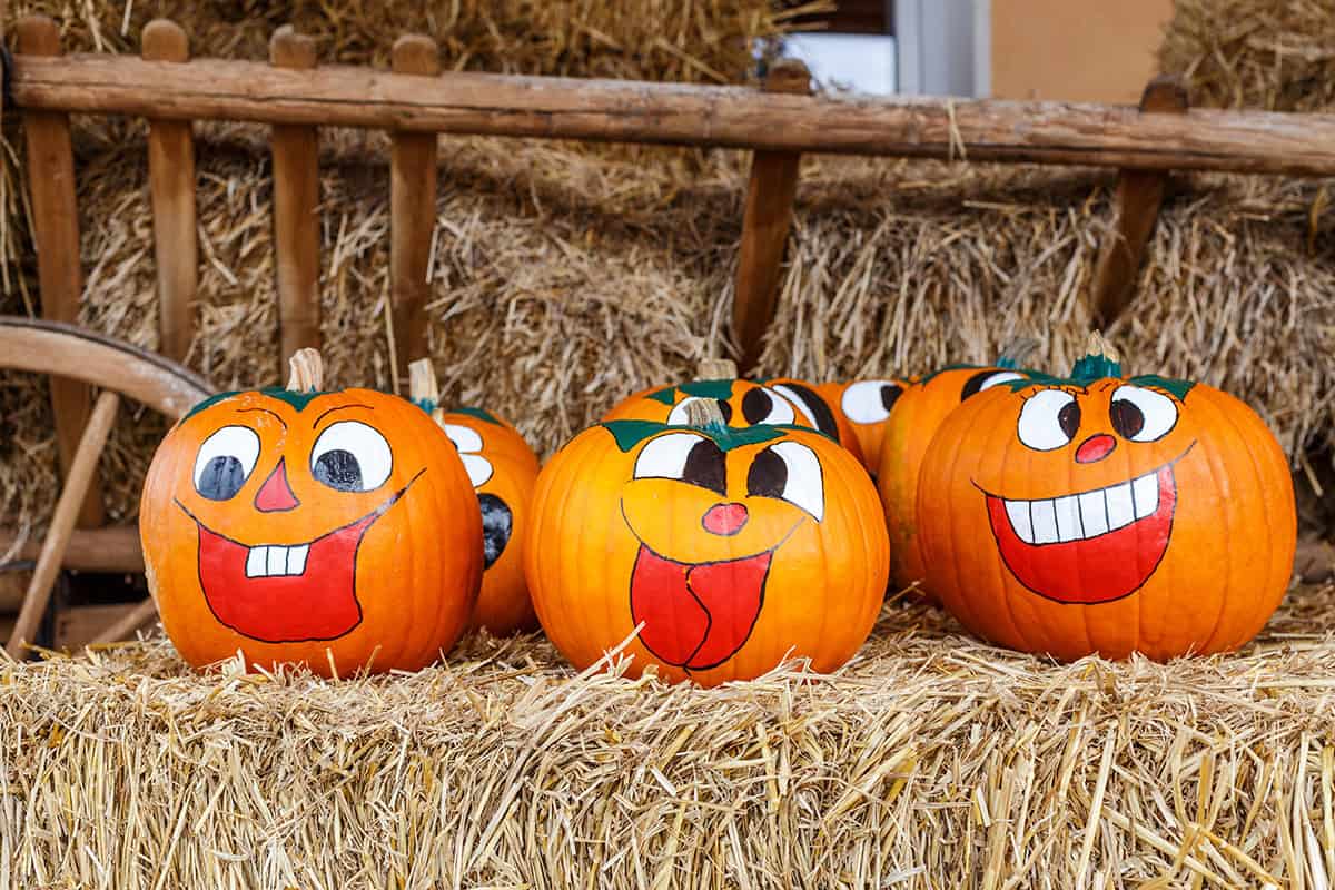 Laughing Pumpkin Face Collection
