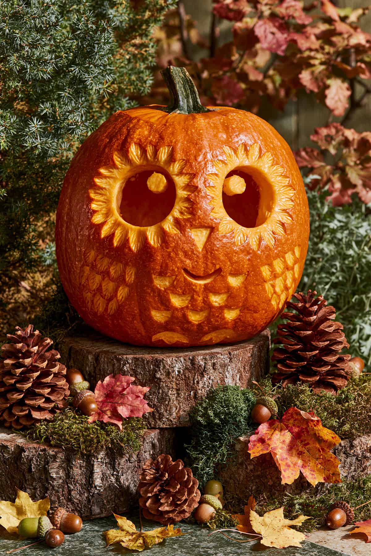 Owl Pumpkin