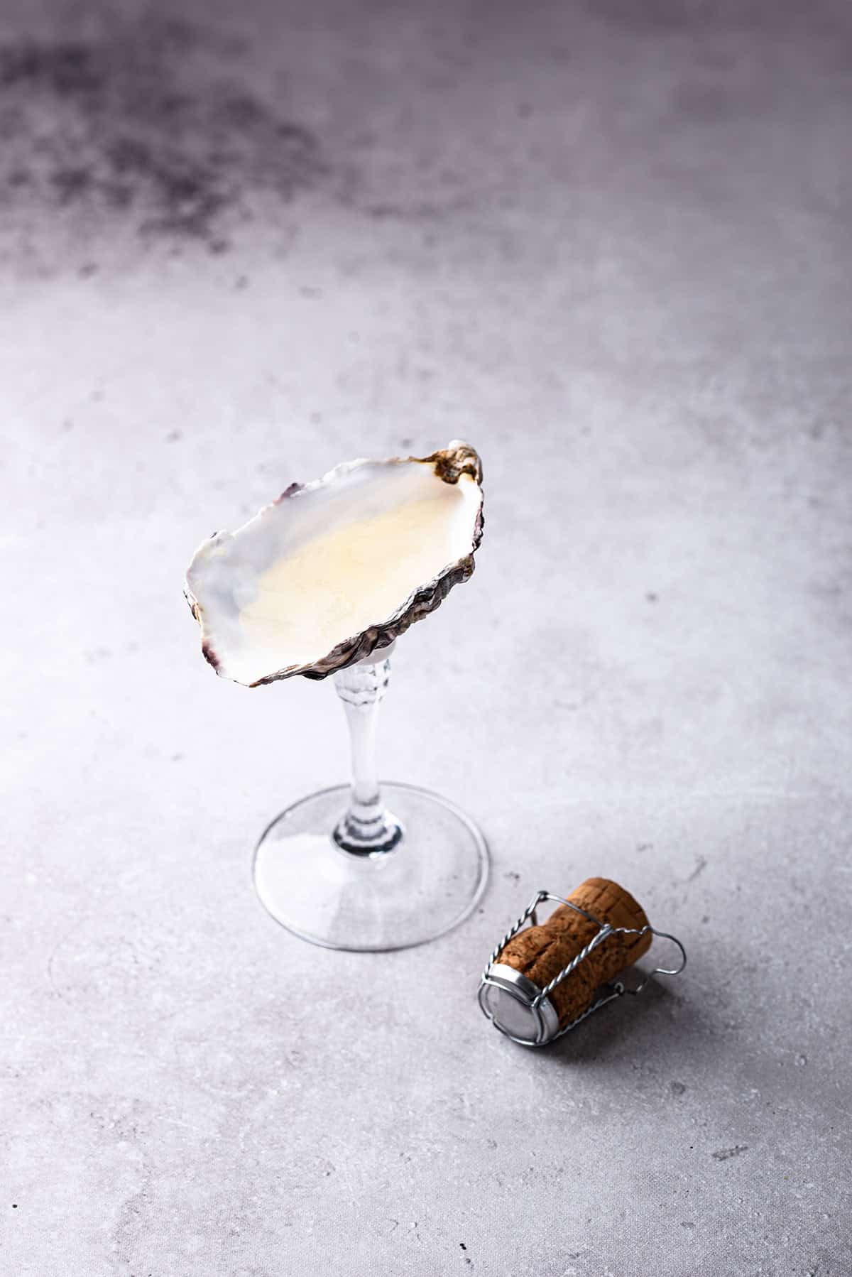 Oyster Shell Champagne Coupe