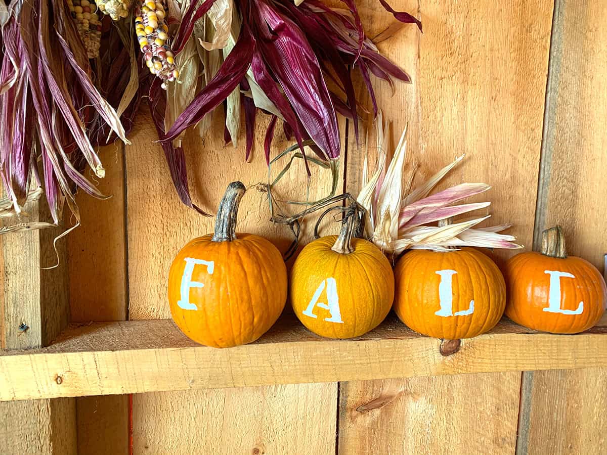 Painted Fall Letter Pumpkins