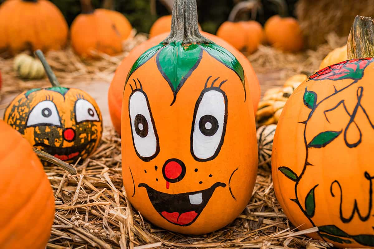 Playful Pumpkin Patch Characters