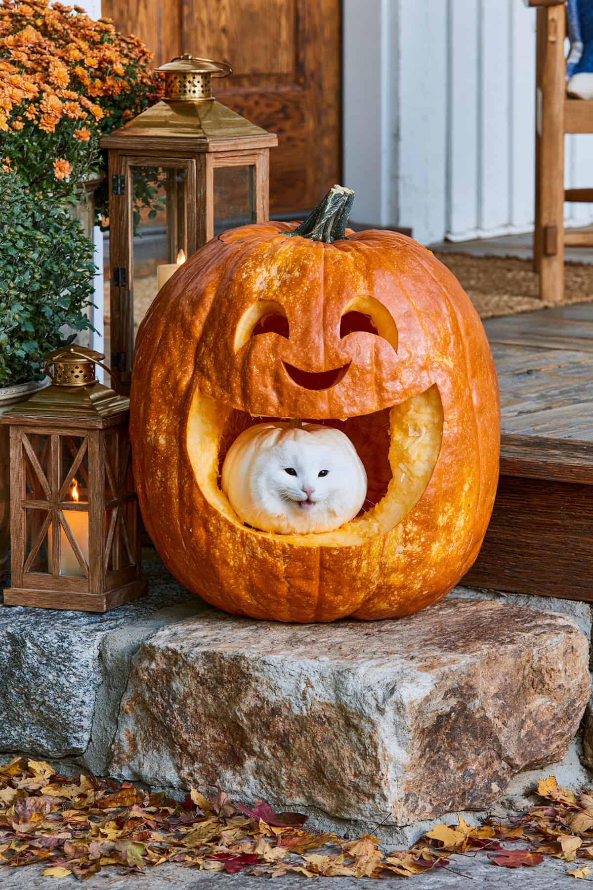 Pumpkin Holding A Tiny Pumpkin