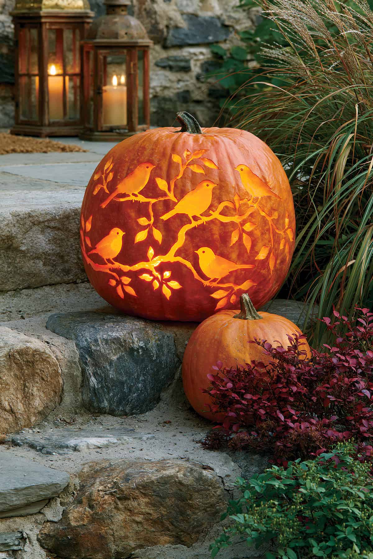 Pumpkin With Bird Silhouettes