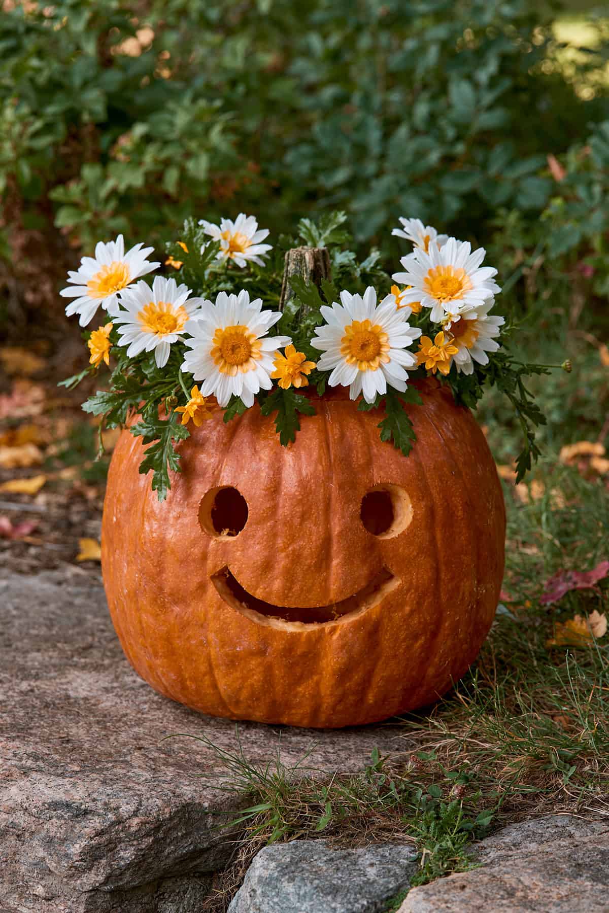 Pumpkin With Daisy Crown