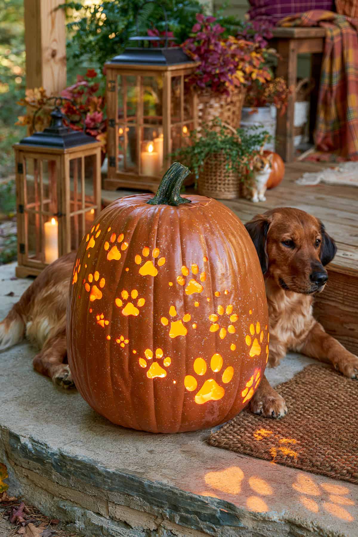 Pumpkin With Paw Prints