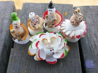 Seashell Craft Ideas