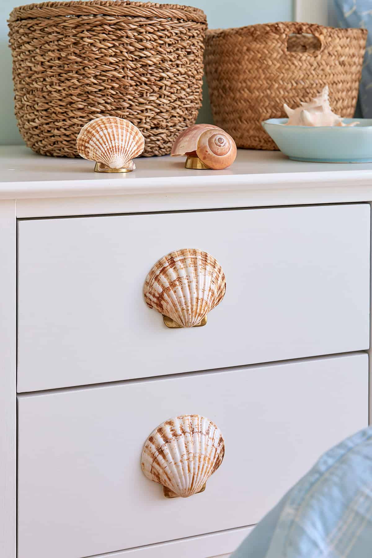 Seashell Drawer Pulls