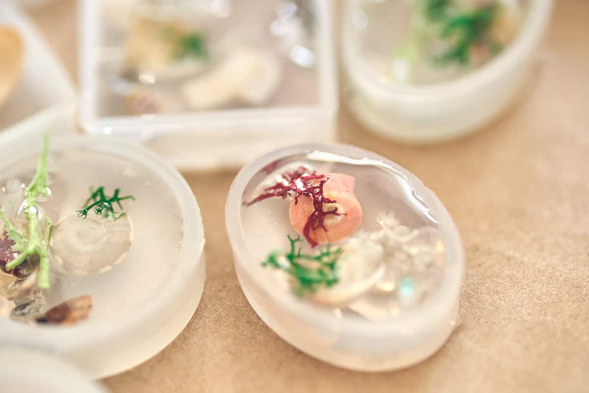 Seashell Resin Keepsakes