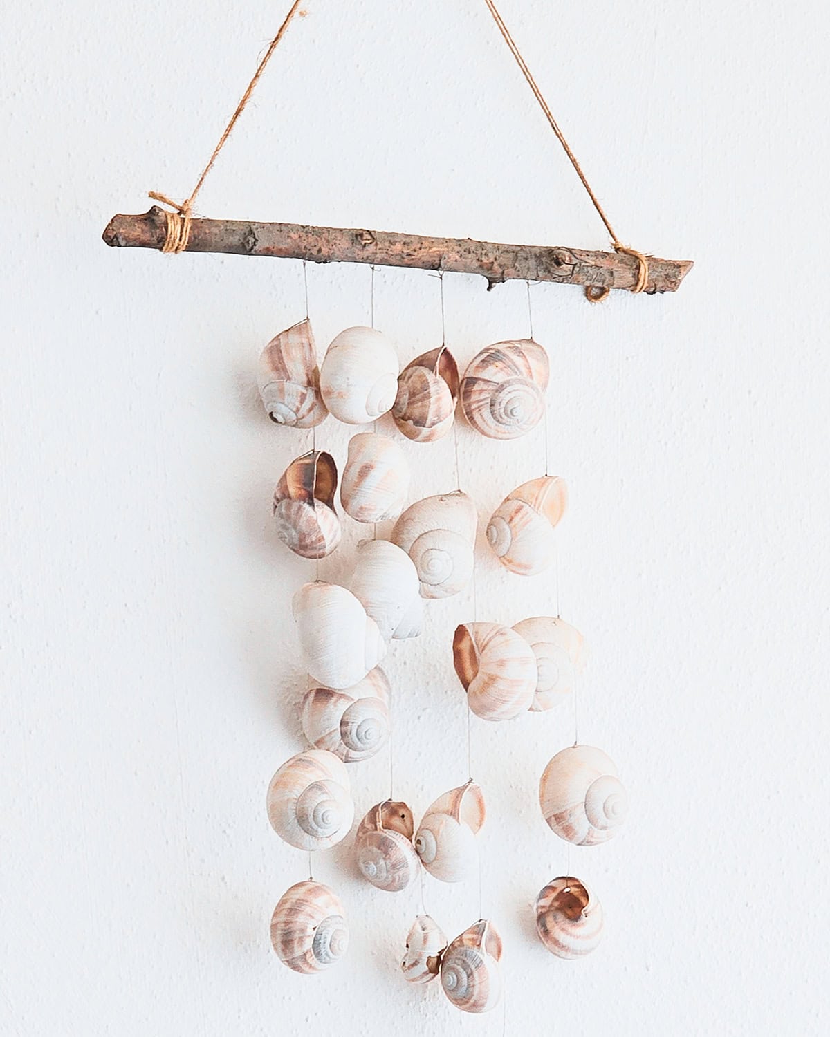 Seashell and Branch Wall Hanging
