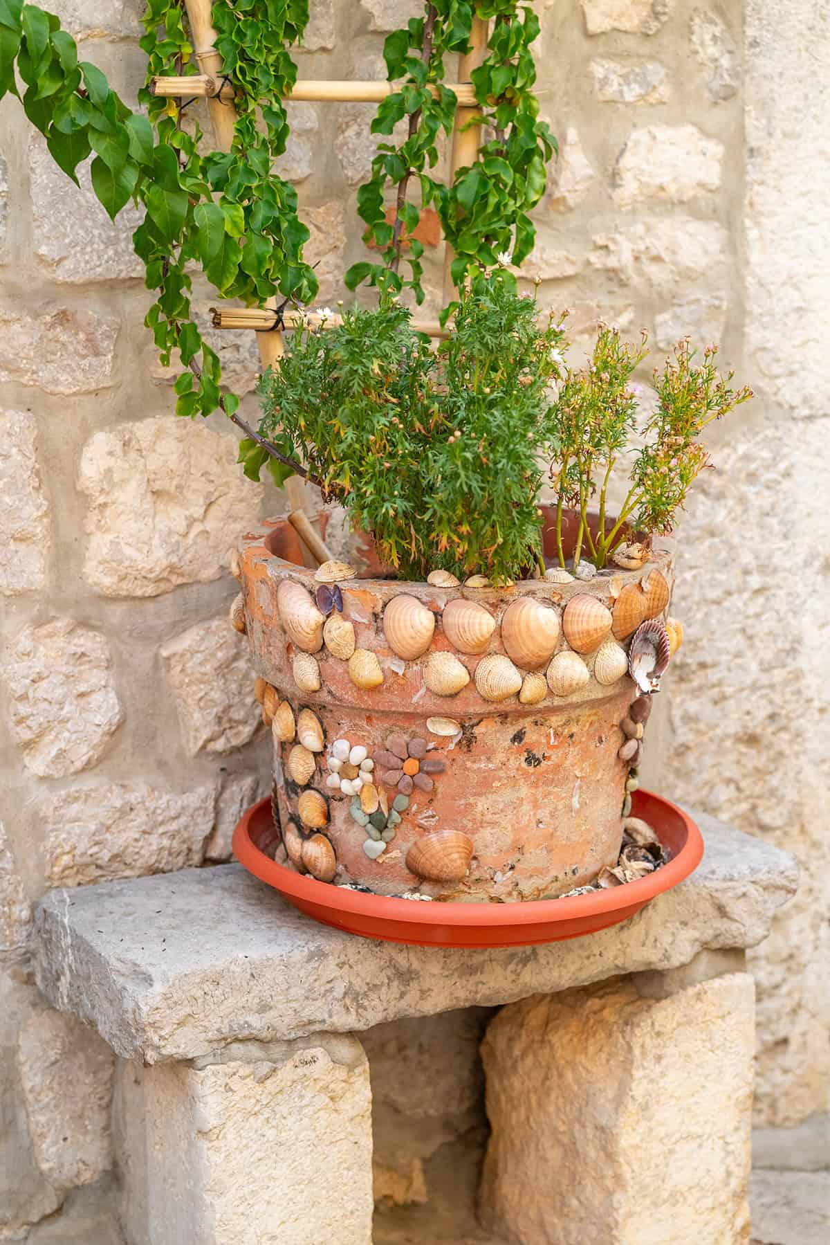Shell Covered Garden Planter