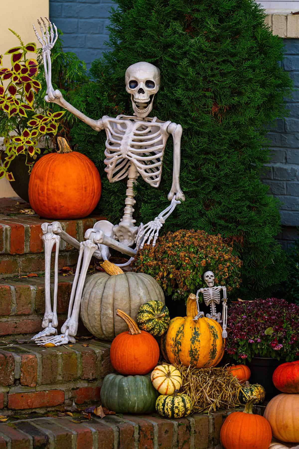 Skeletons Among the Harvest Pumpkins