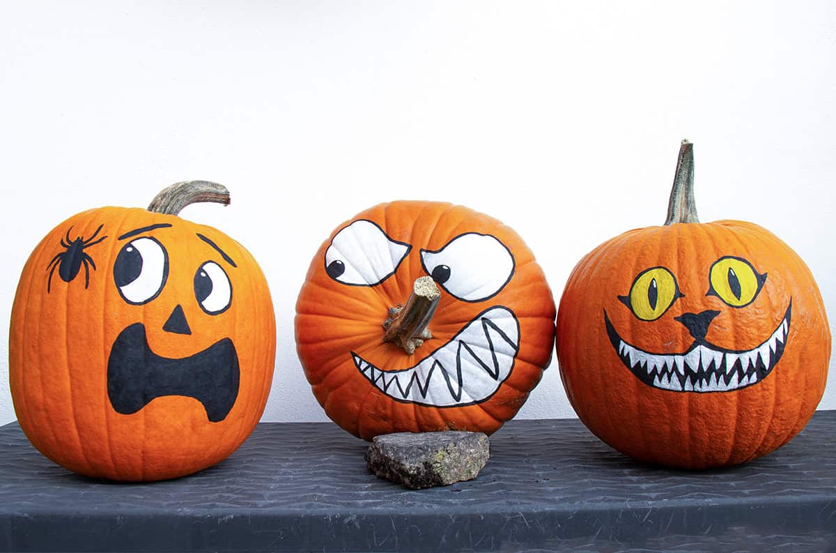 Spider, Monster, And Cat Pumpkins