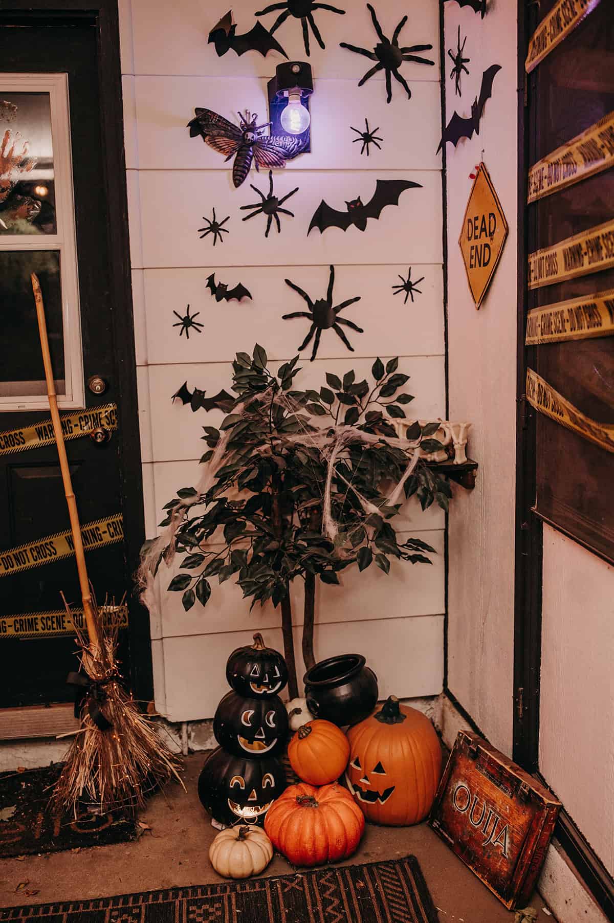 Spiders And Bats Porch Wall
