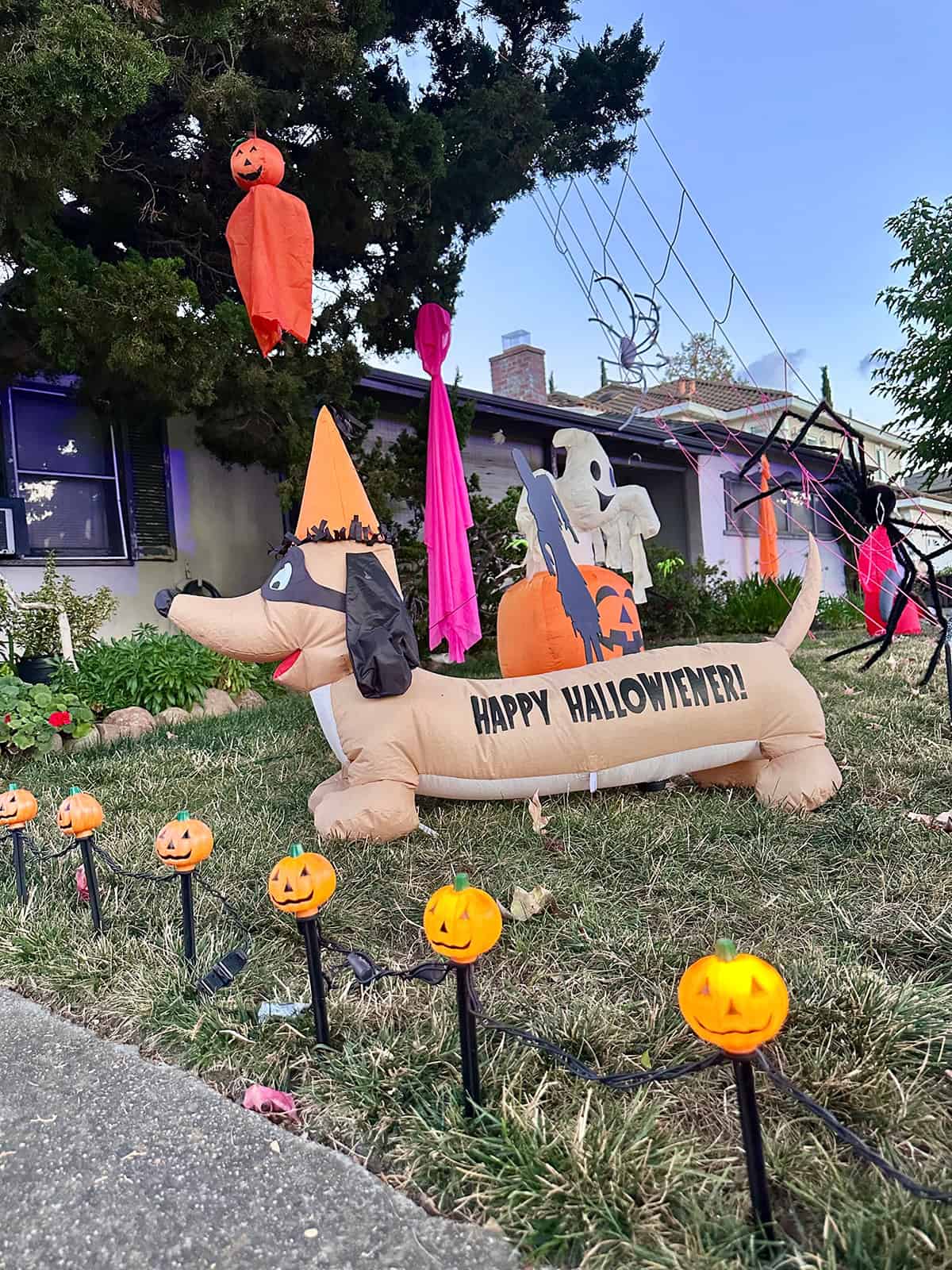 Spiderweb Yard with a Witchy Dog