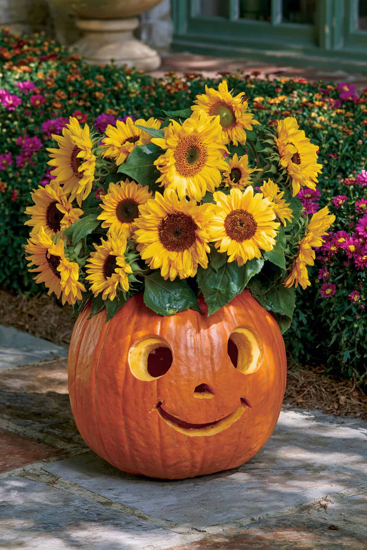 Sunflower Pumpkin