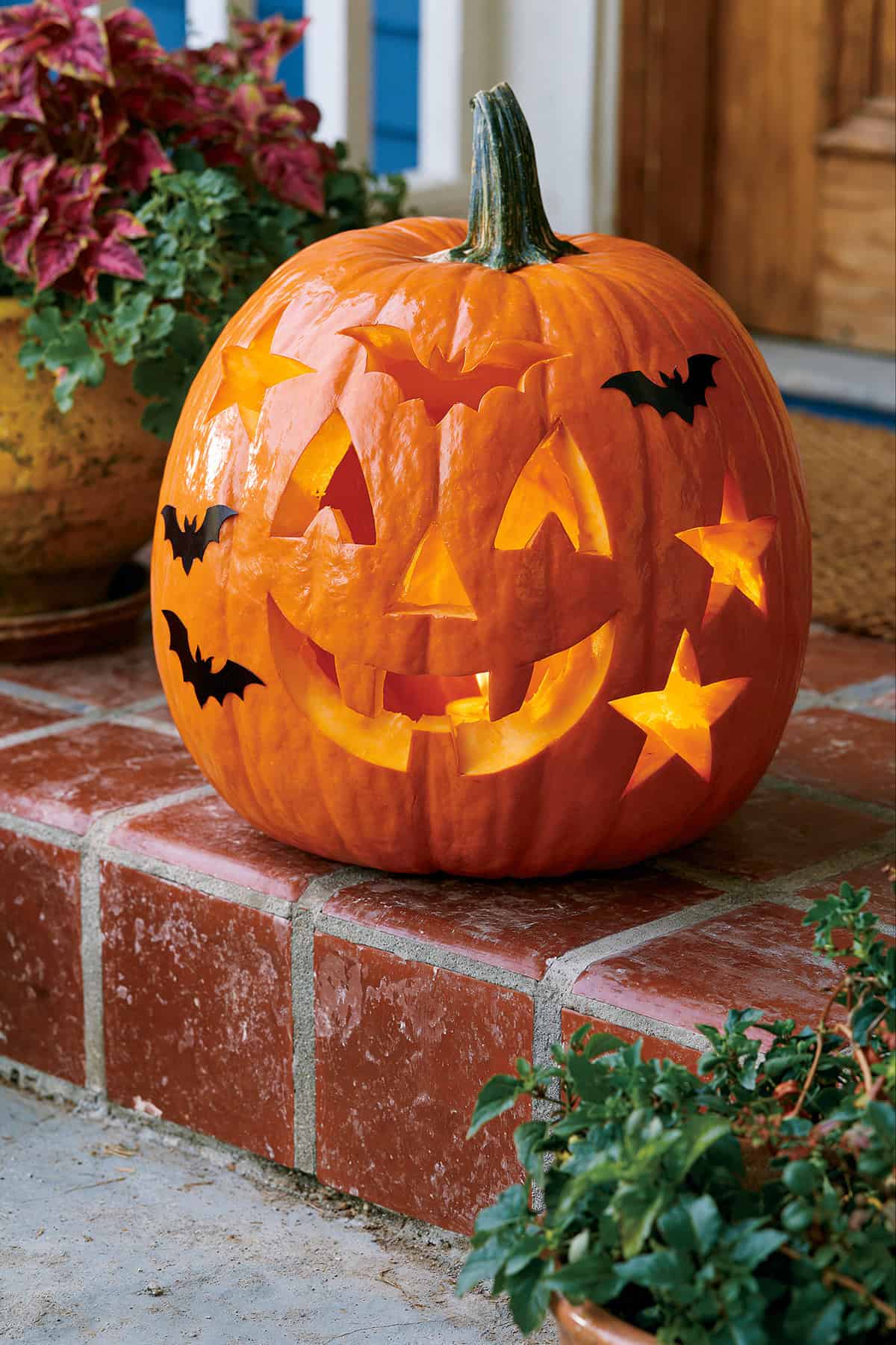 Tiny Bat Friends Pumpkin