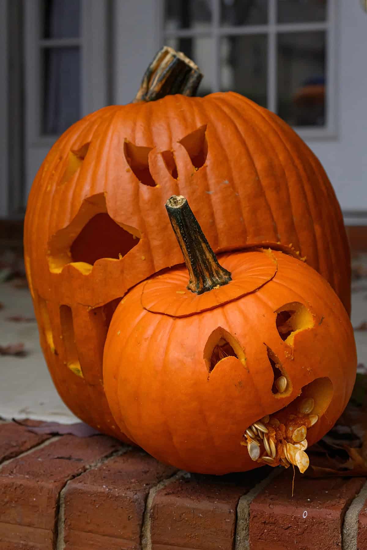 Big Pumpkin Eating A Small Pumpkin