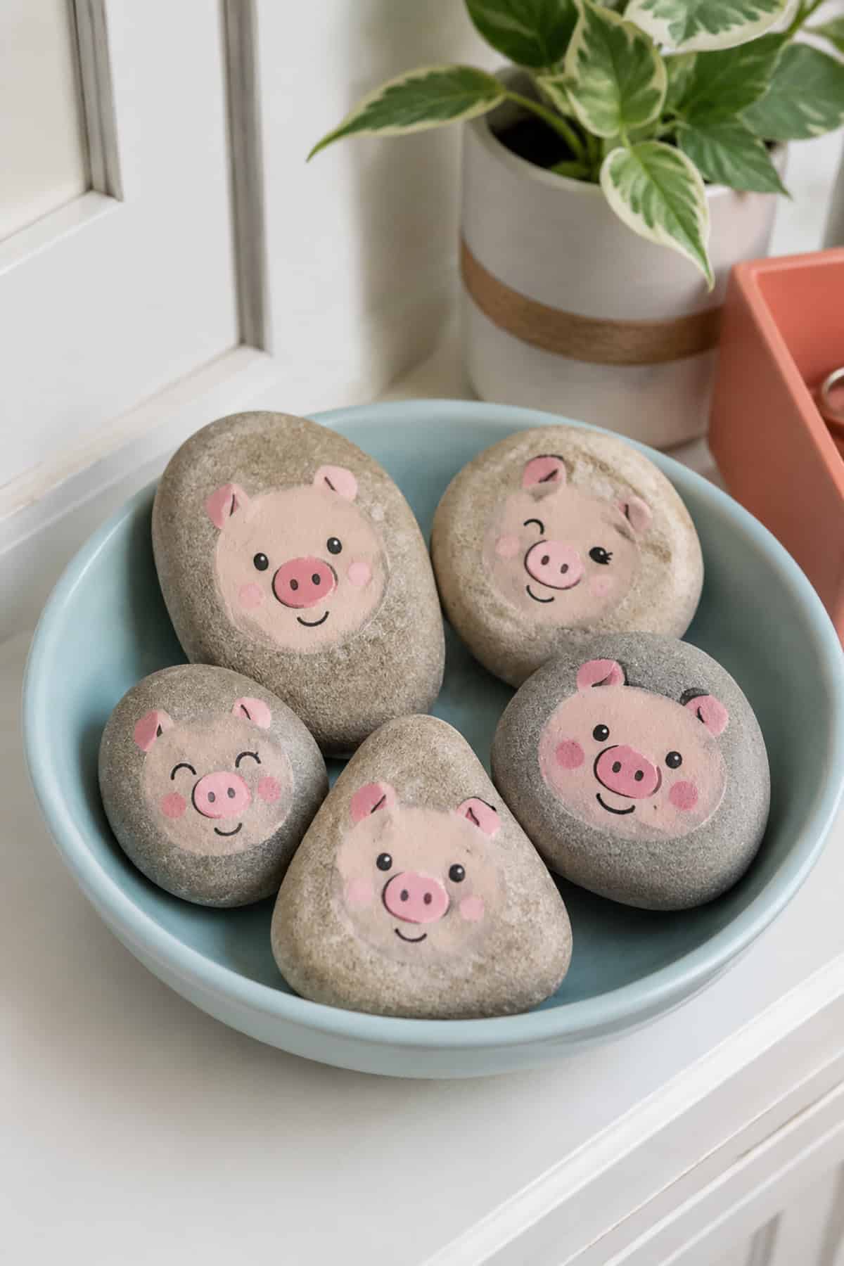 Charming Pig Face Rocks