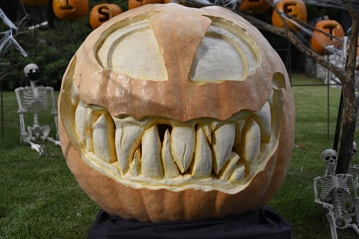 Giant Fanged Monster Pumpkin