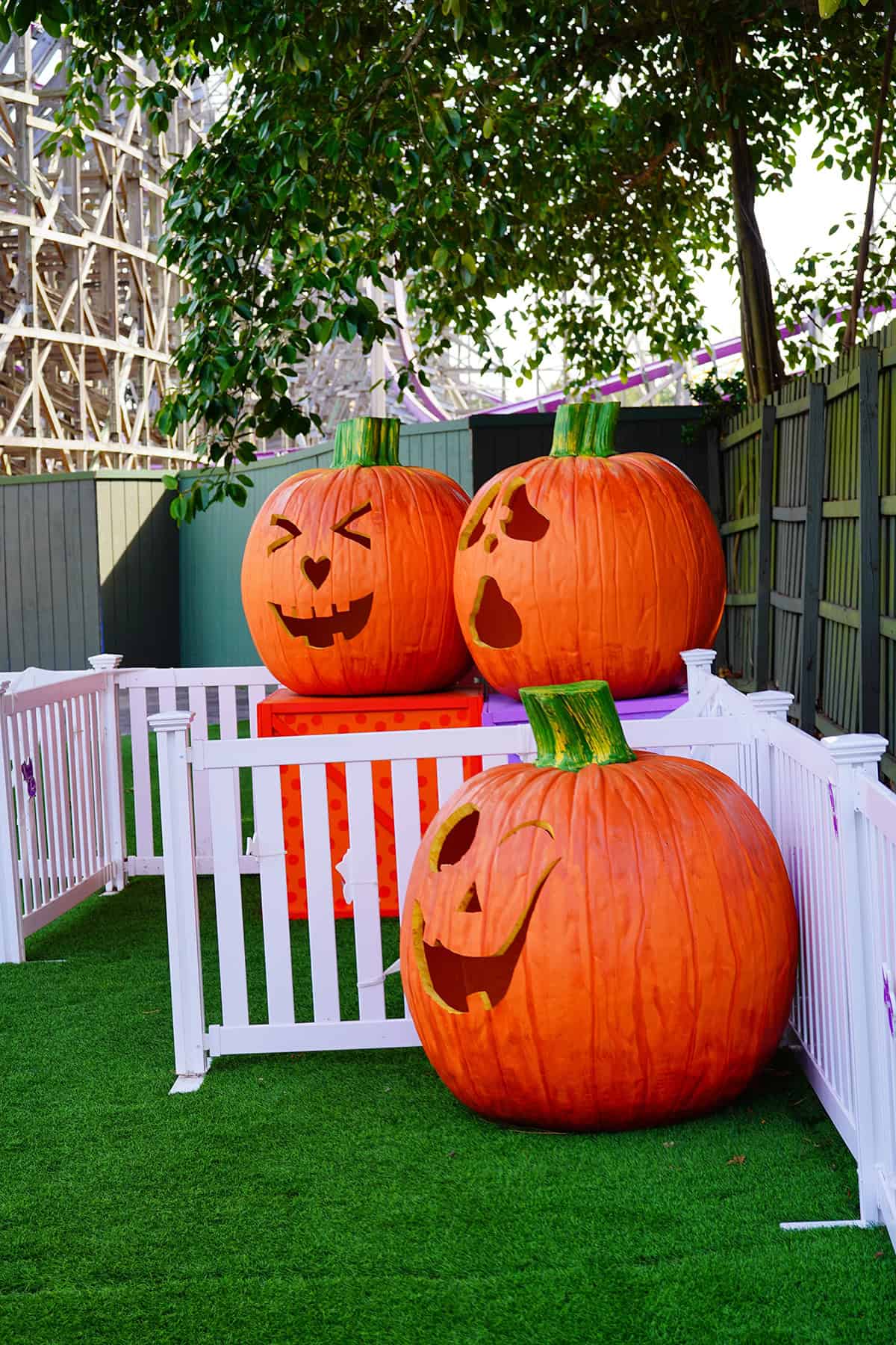 Giant Goofy Pumpkin Trio