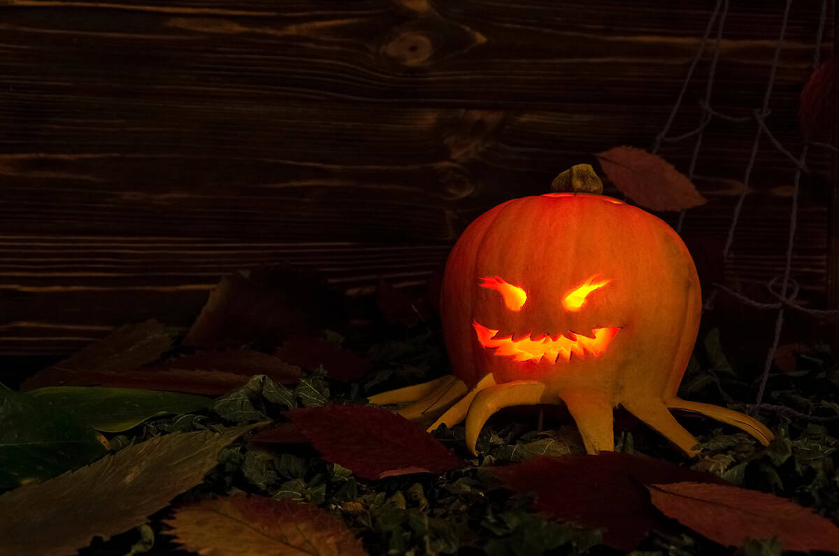 Glowing Pumpkin Spider