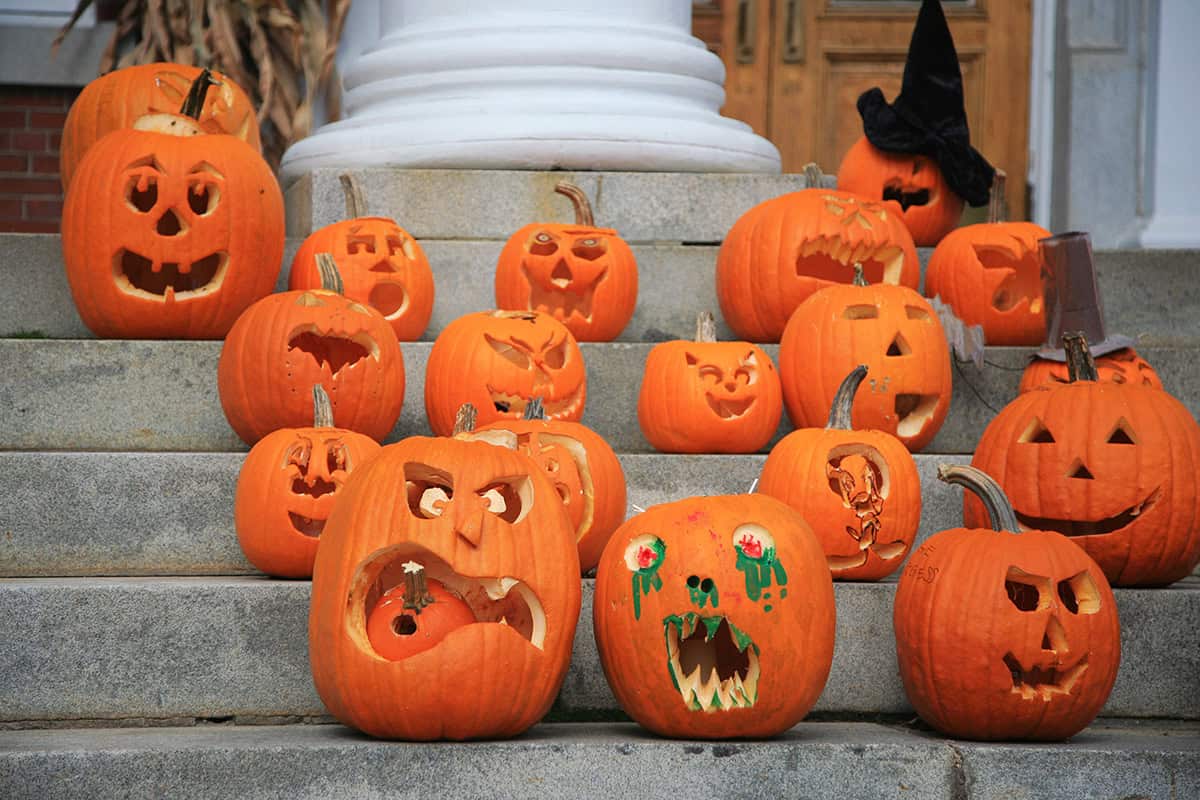 Mixed Face Pumpkin Carving Display