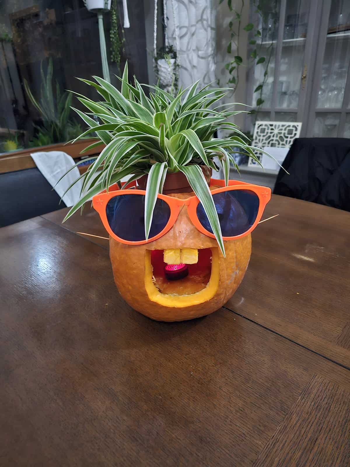 Sunglasses Pumpkin Planter