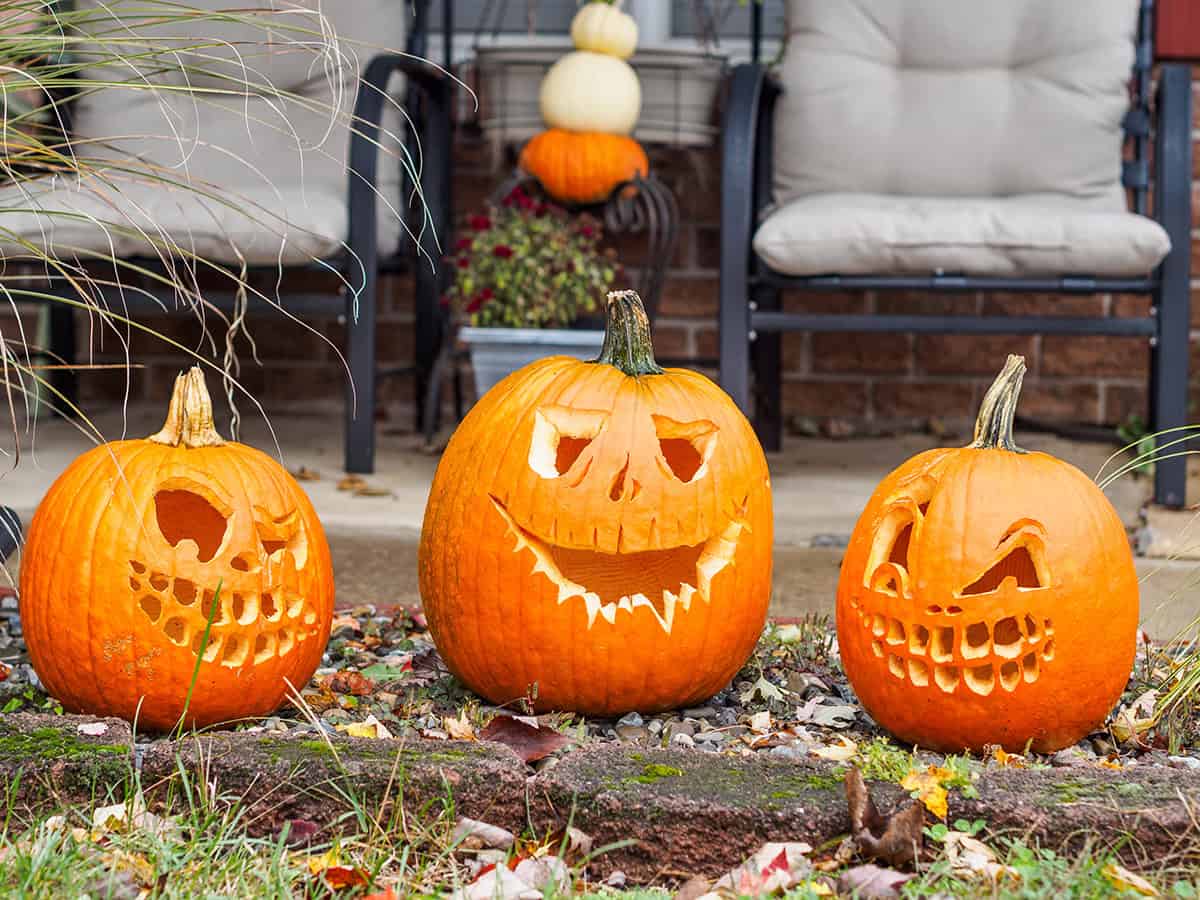 Three Grinning Skull Pumpkins