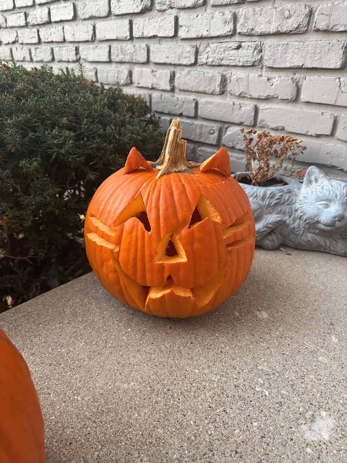 Whiskered Kitty Pumpkin Carving