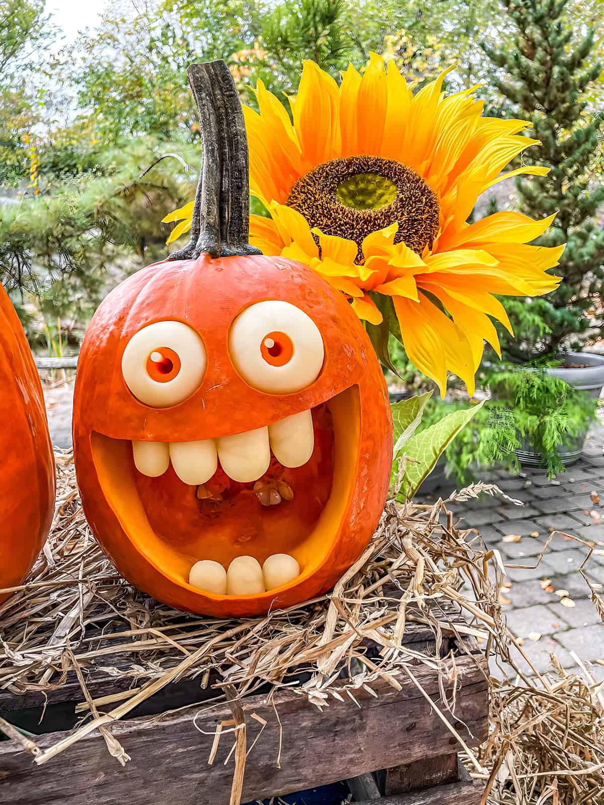 Wide Eyed Pumpkin With Chunky Teeth