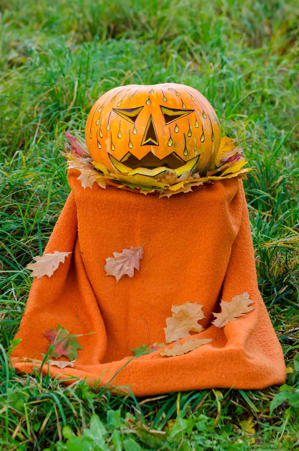 Worried Pumpkin With A Leaf Collar