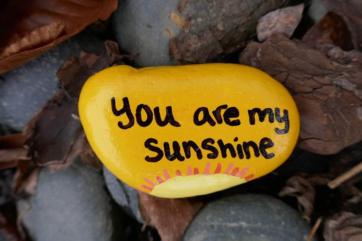 You Are My Sunshine Rock