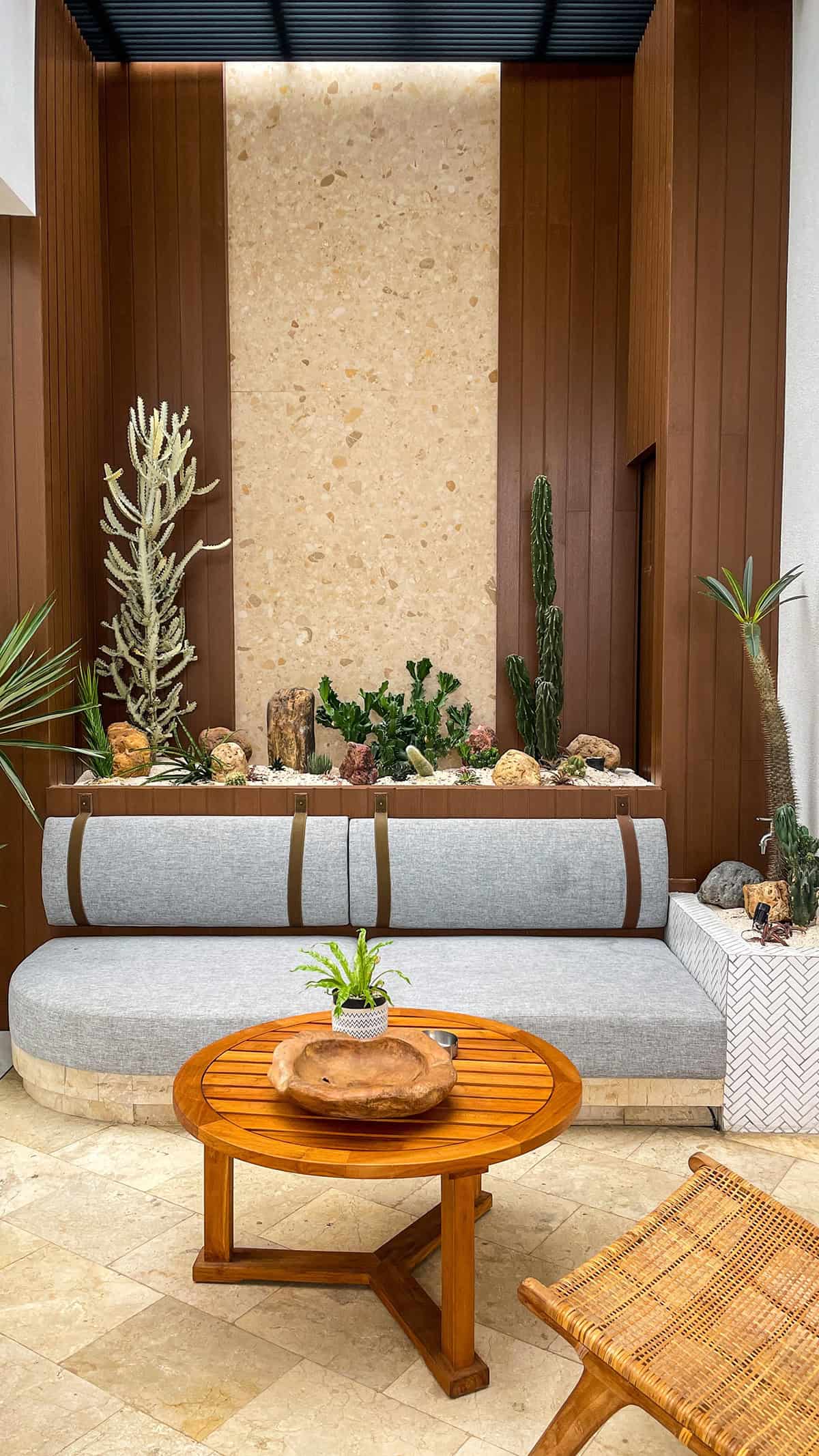 Desert Greenery Against Rich Wood Paneling