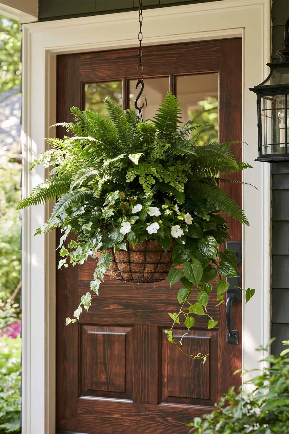 Fern and Ivy Door Basket for Shade