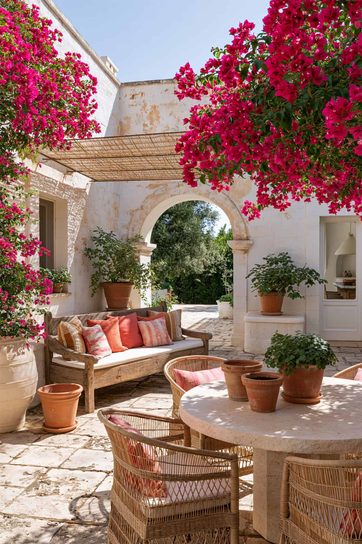 Bougainvillea Above a Pale Courtyard