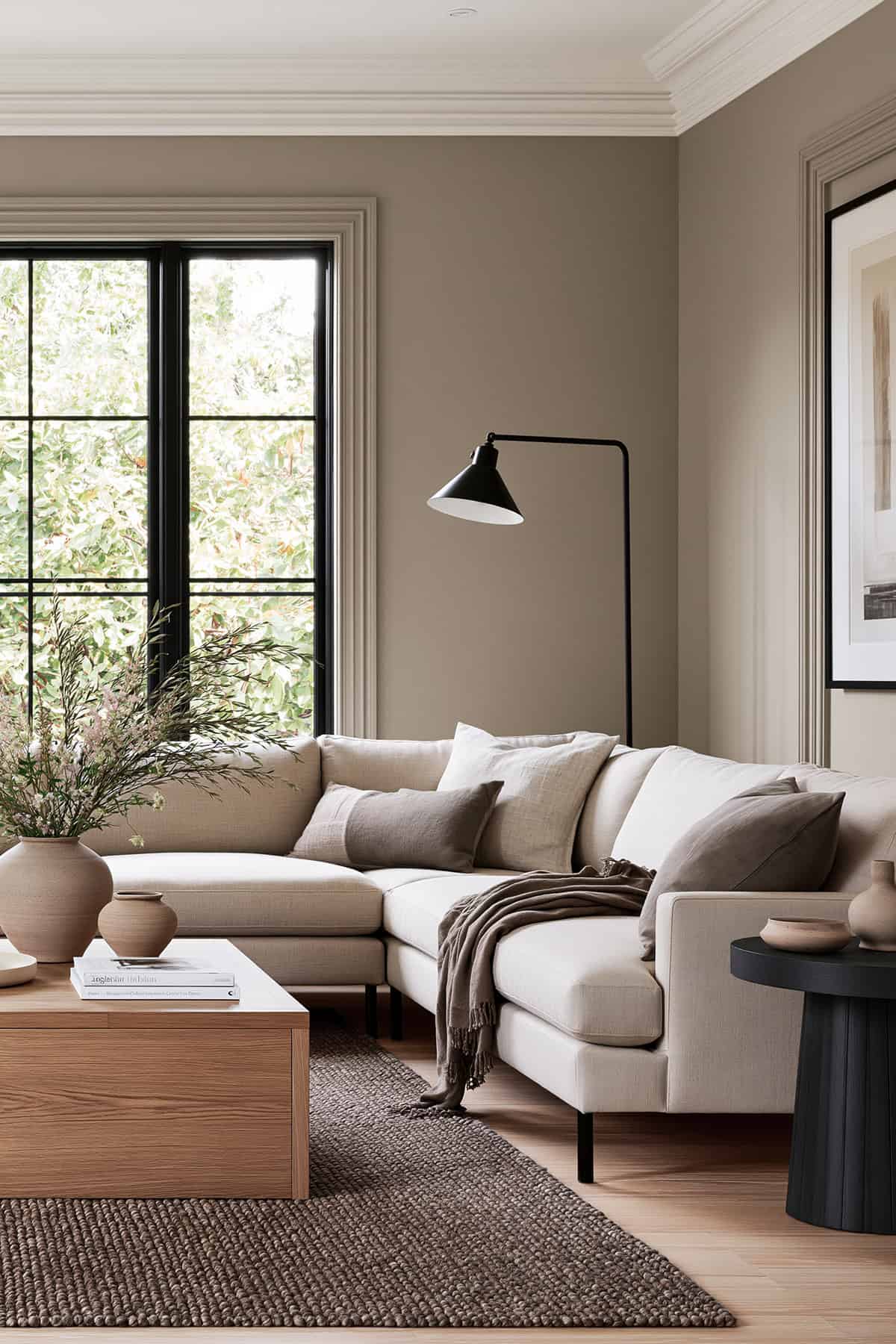Mushroom Taupe Living Room With Black Accents