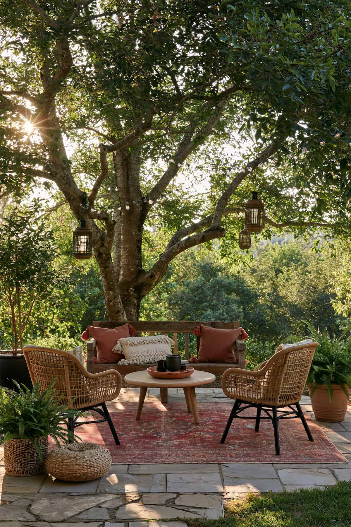 The Patio Beneath an Old Tree