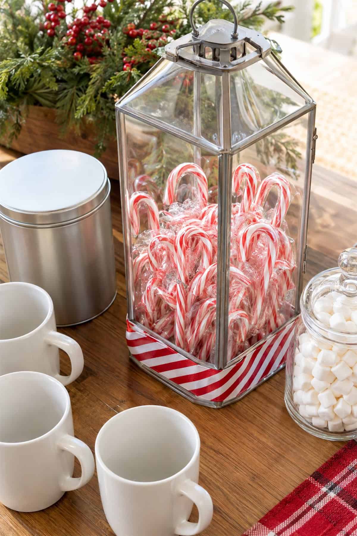 At the Cocoa Bar: Christmas Lantern Candy Canes