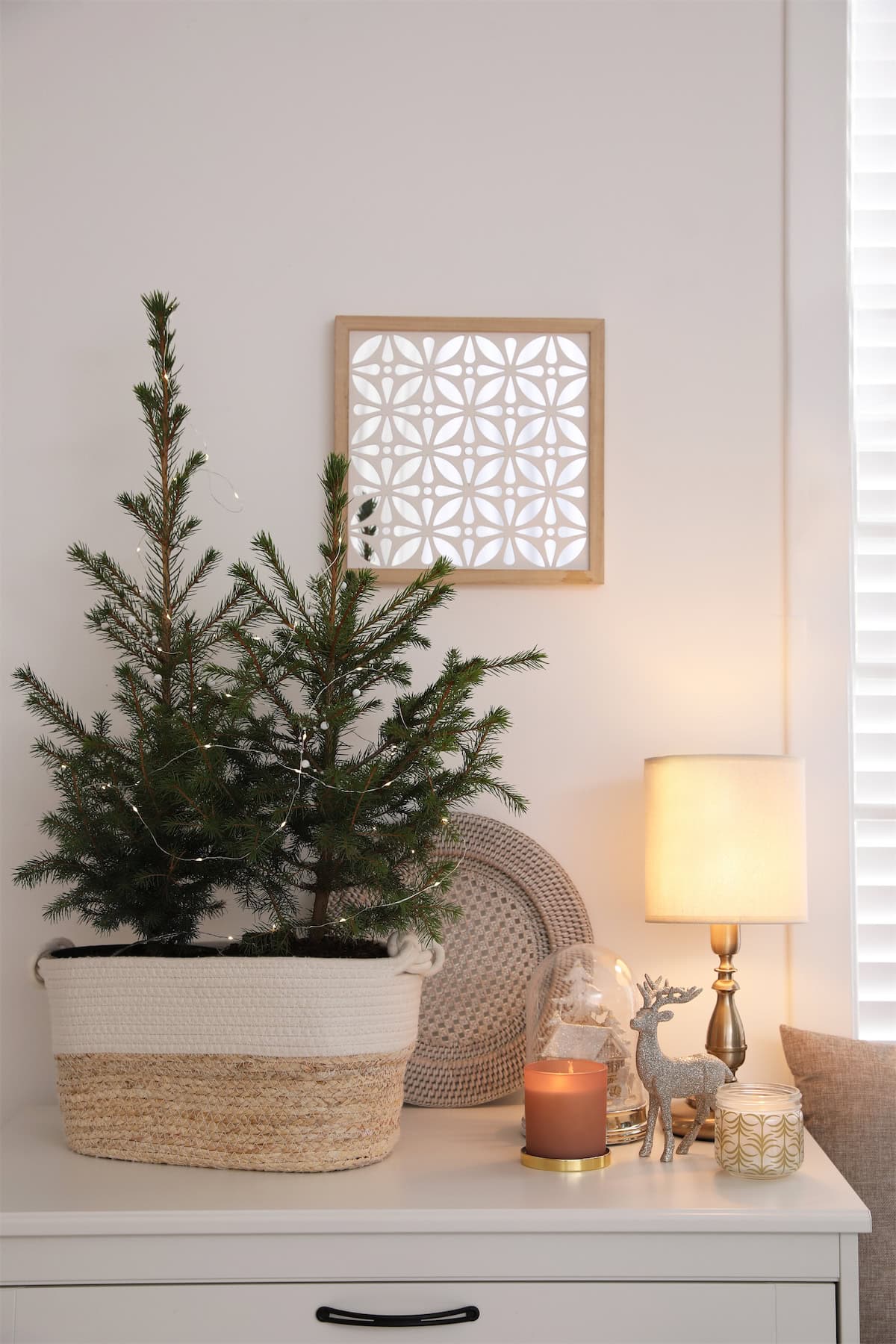 Two Bare Tabletop Evergreens